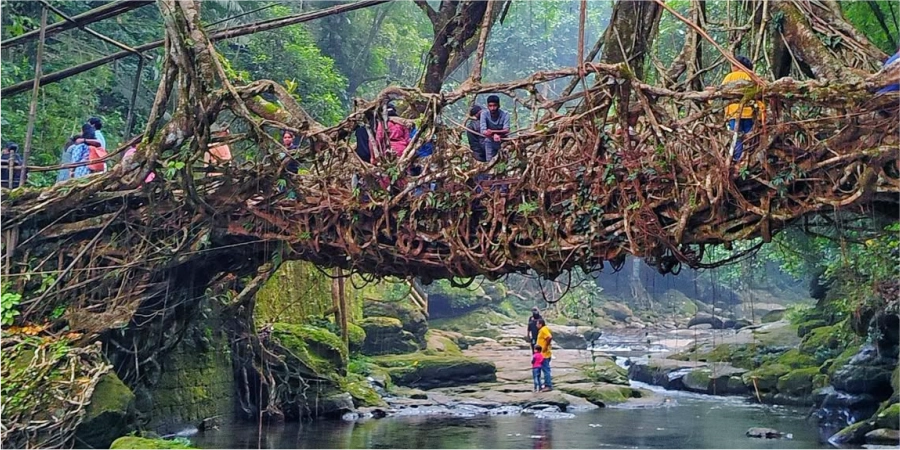 Nature’s Retreat: Coorg & Wayanad Getaway